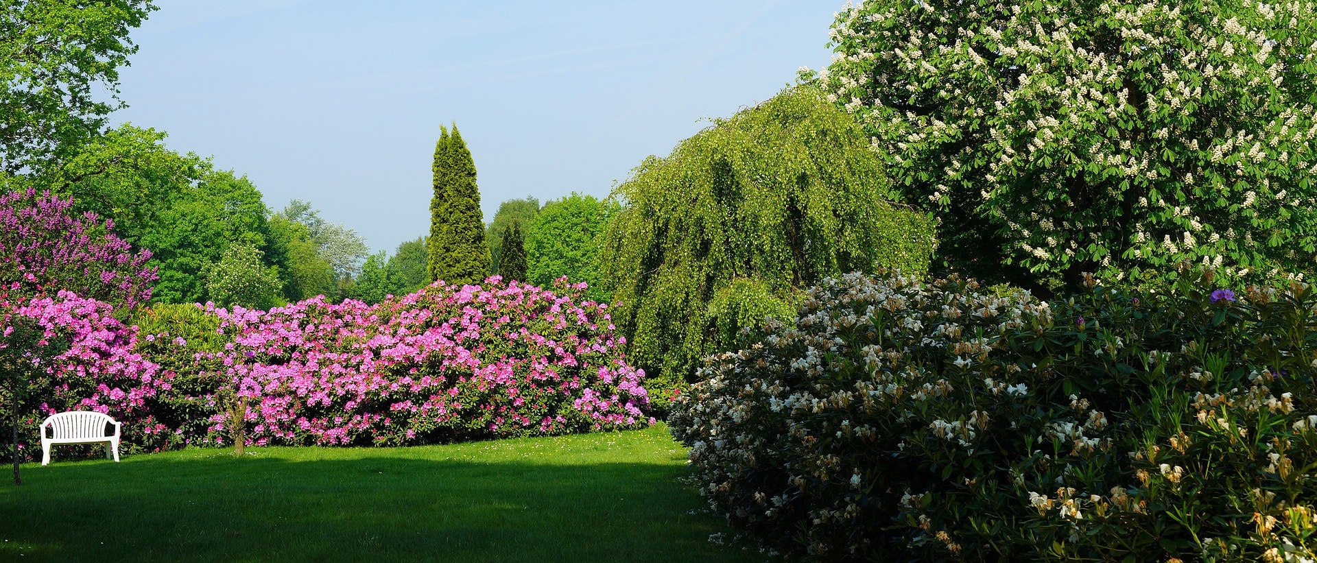 un giardino